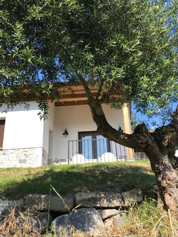 La Casina Del Olivo Holiday home Ribadesella