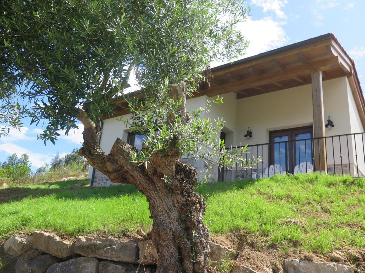 Holiday home La Casina Del Olivo *