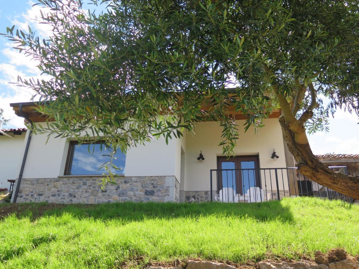 Holiday home La Casina Del Olivo